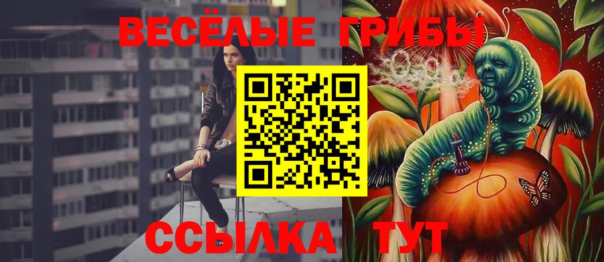 Псилоцибиновые грибы мухоморы Чебоксары